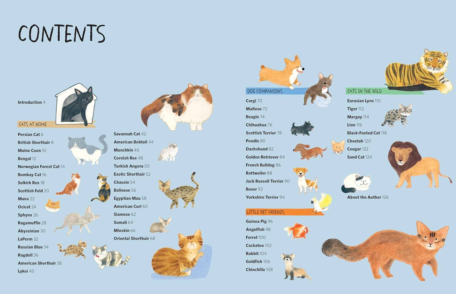 Drawing Class: Cats At Home & In the Wild