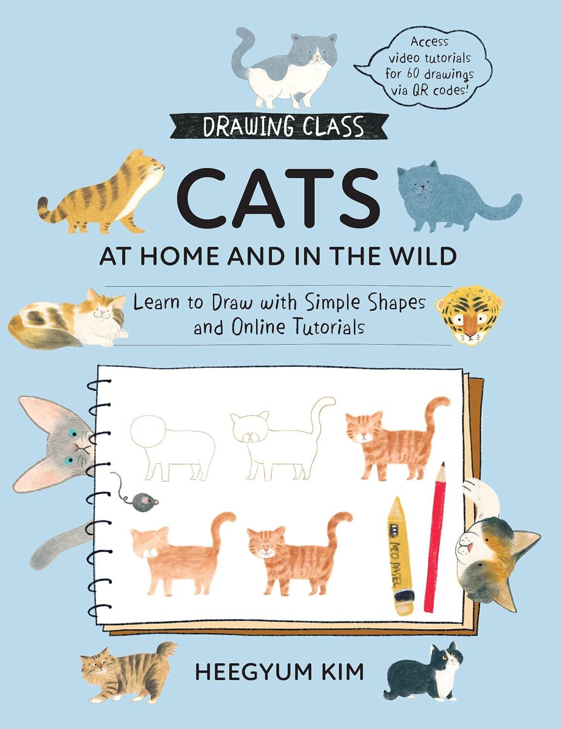 Drawing Class: Cats At Home & In the Wild