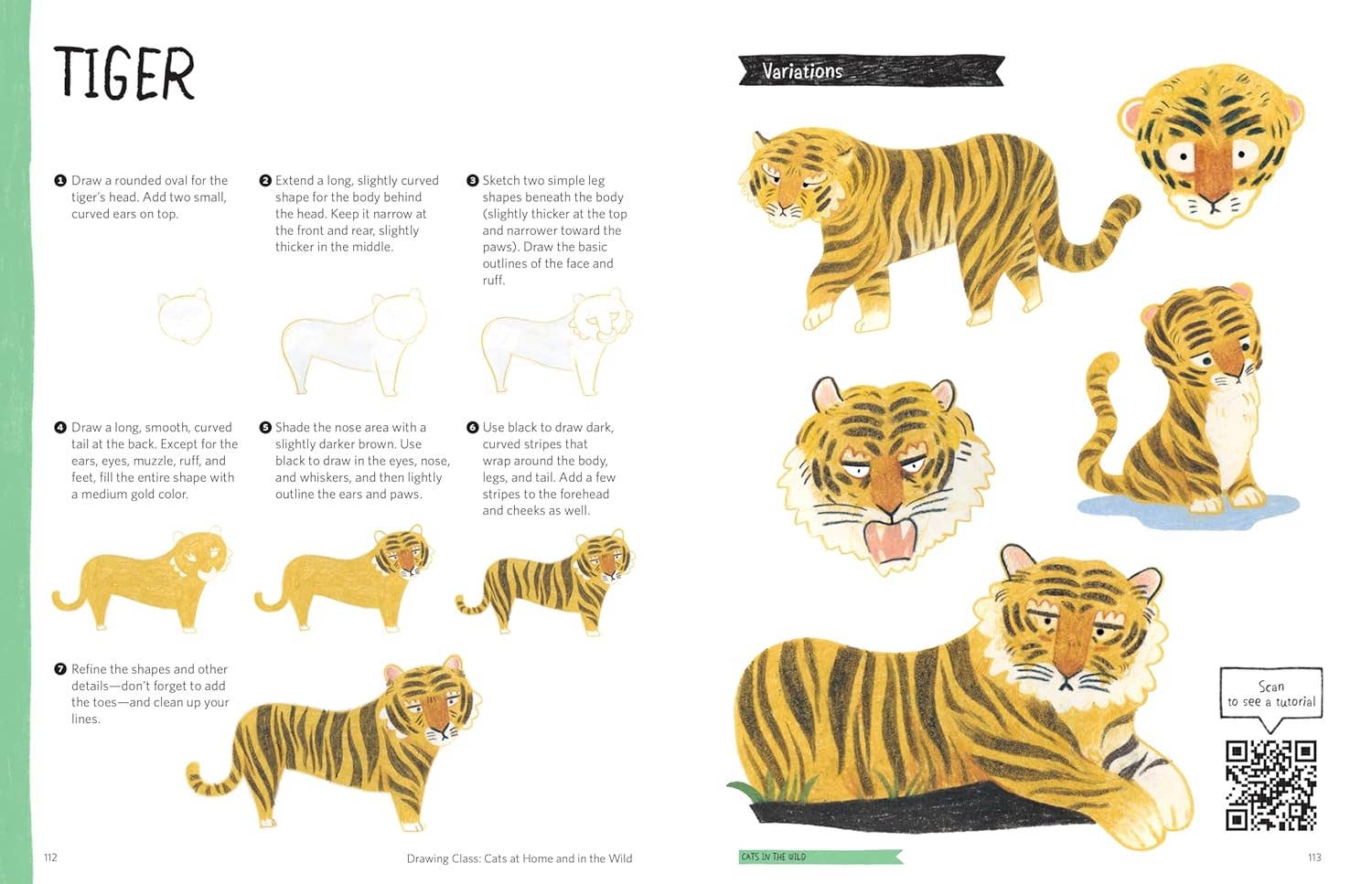 Drawing Class: Cats At Home & In the Wild