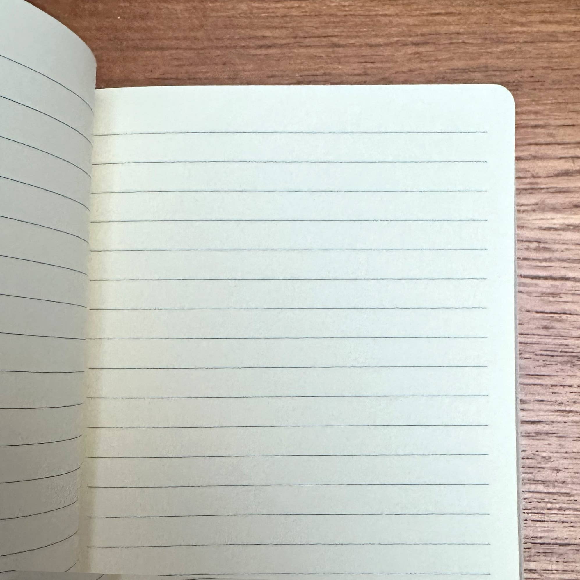 Jade Mosinski Garden Bees Notebook
