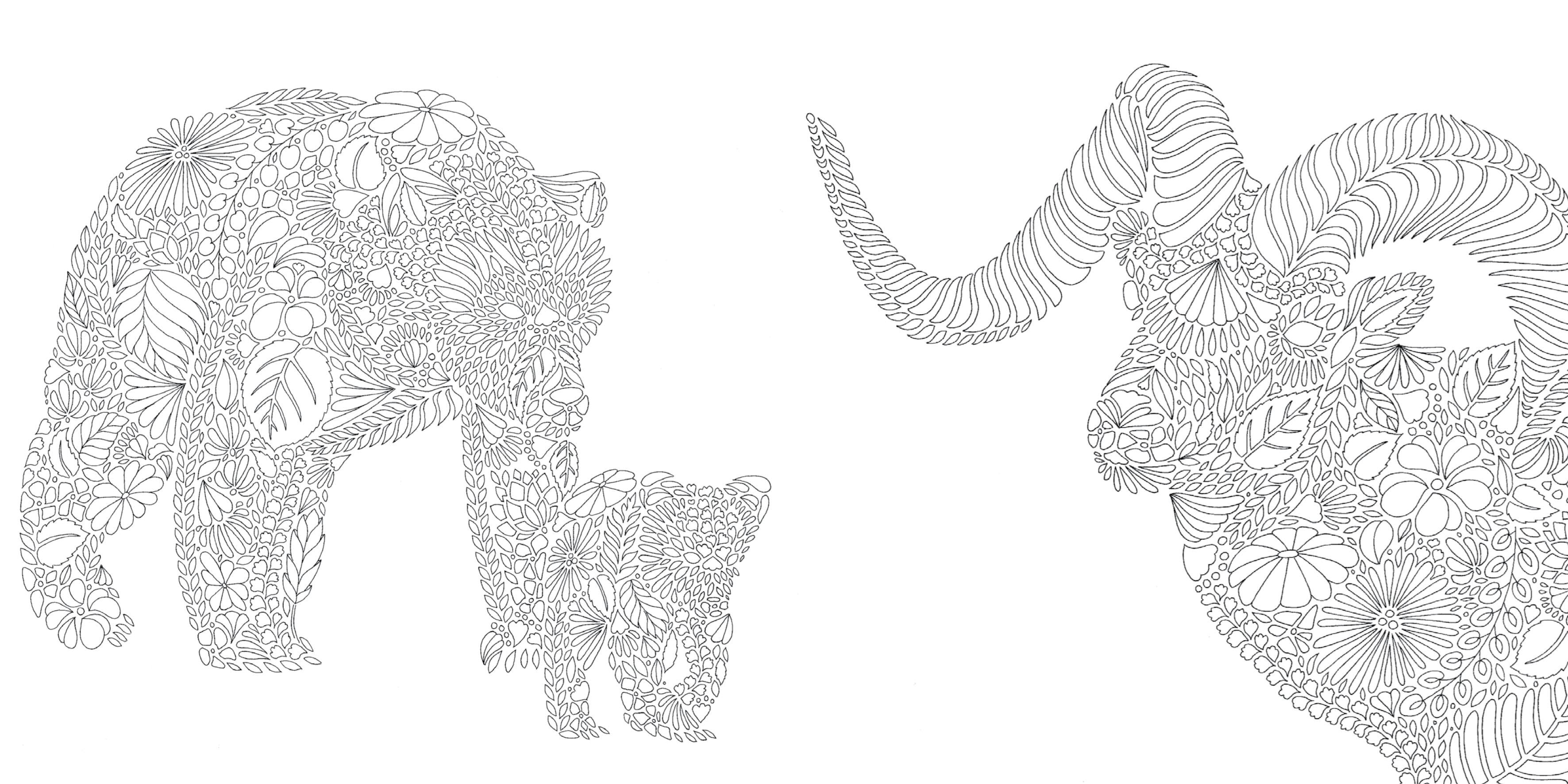 Animal Kingdom Pocket Colouring Book