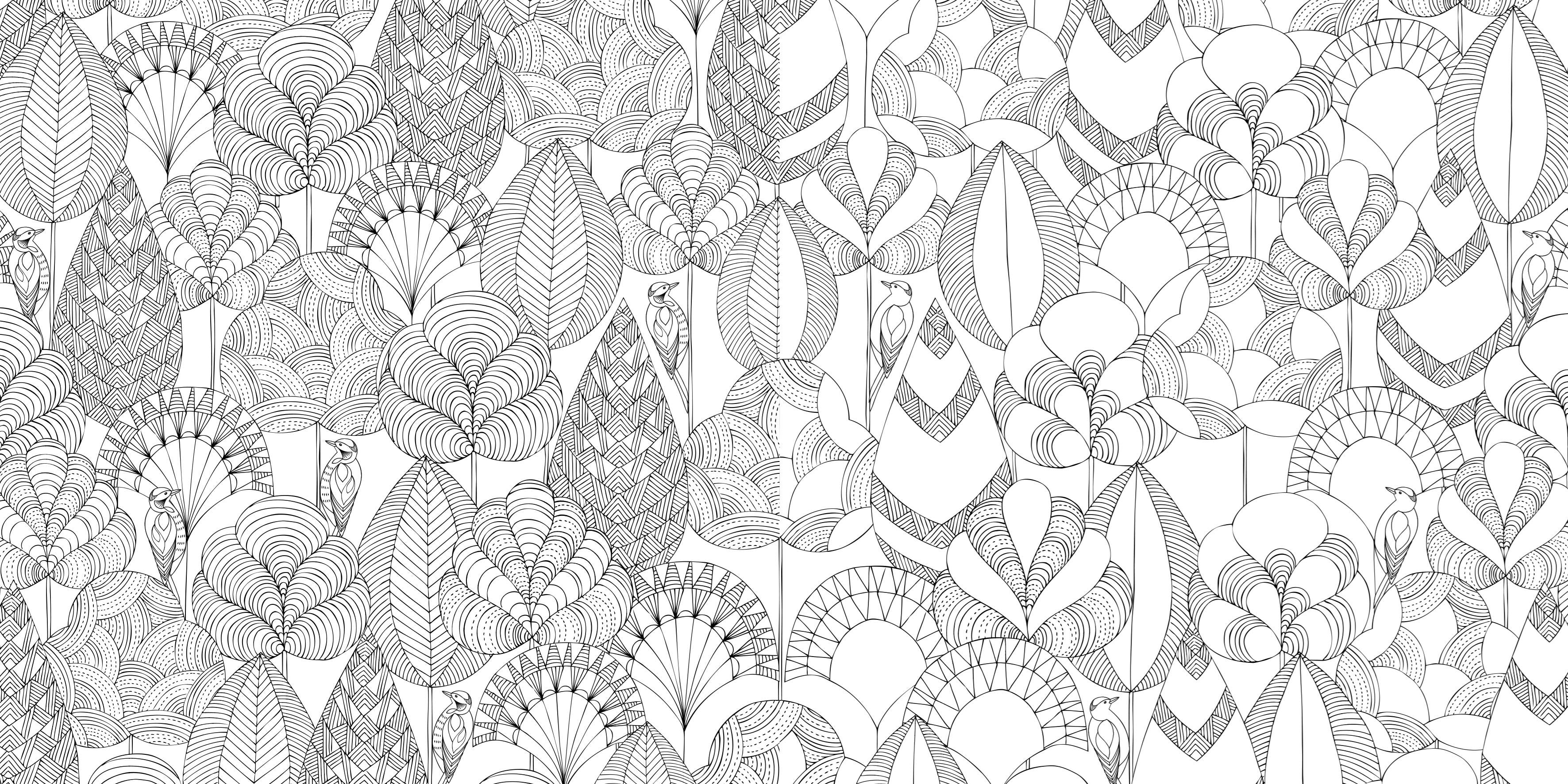 Animal Kingdom Pocket Colouring Book
