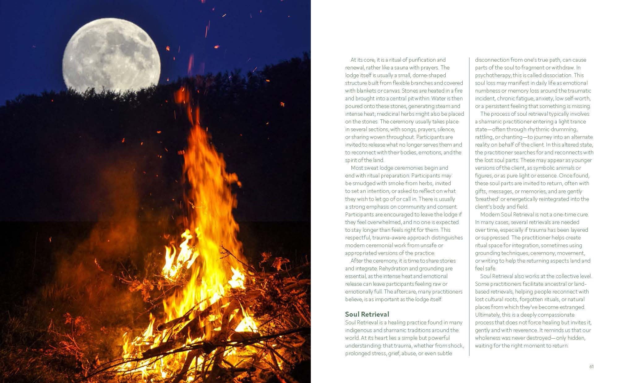 Wild Self: 350 Transformational Nature Experiences