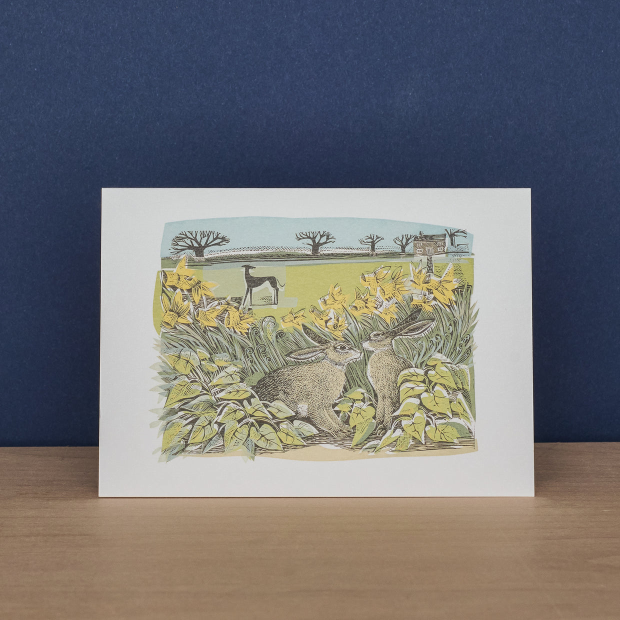 Pack Of 10 Notecards & Envelopes - Shooting Stars & Look Out!