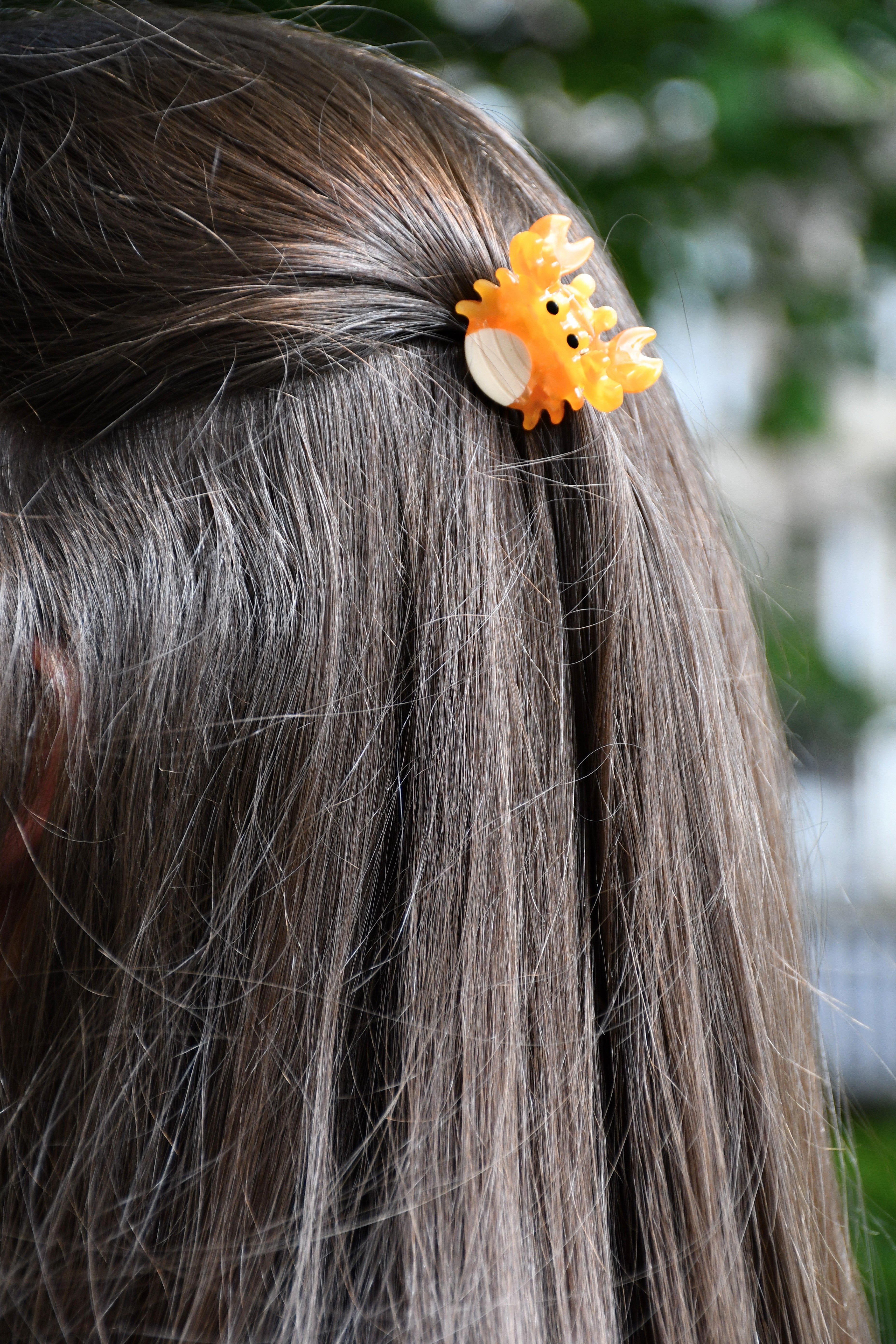 Sea Creature Hair Clips