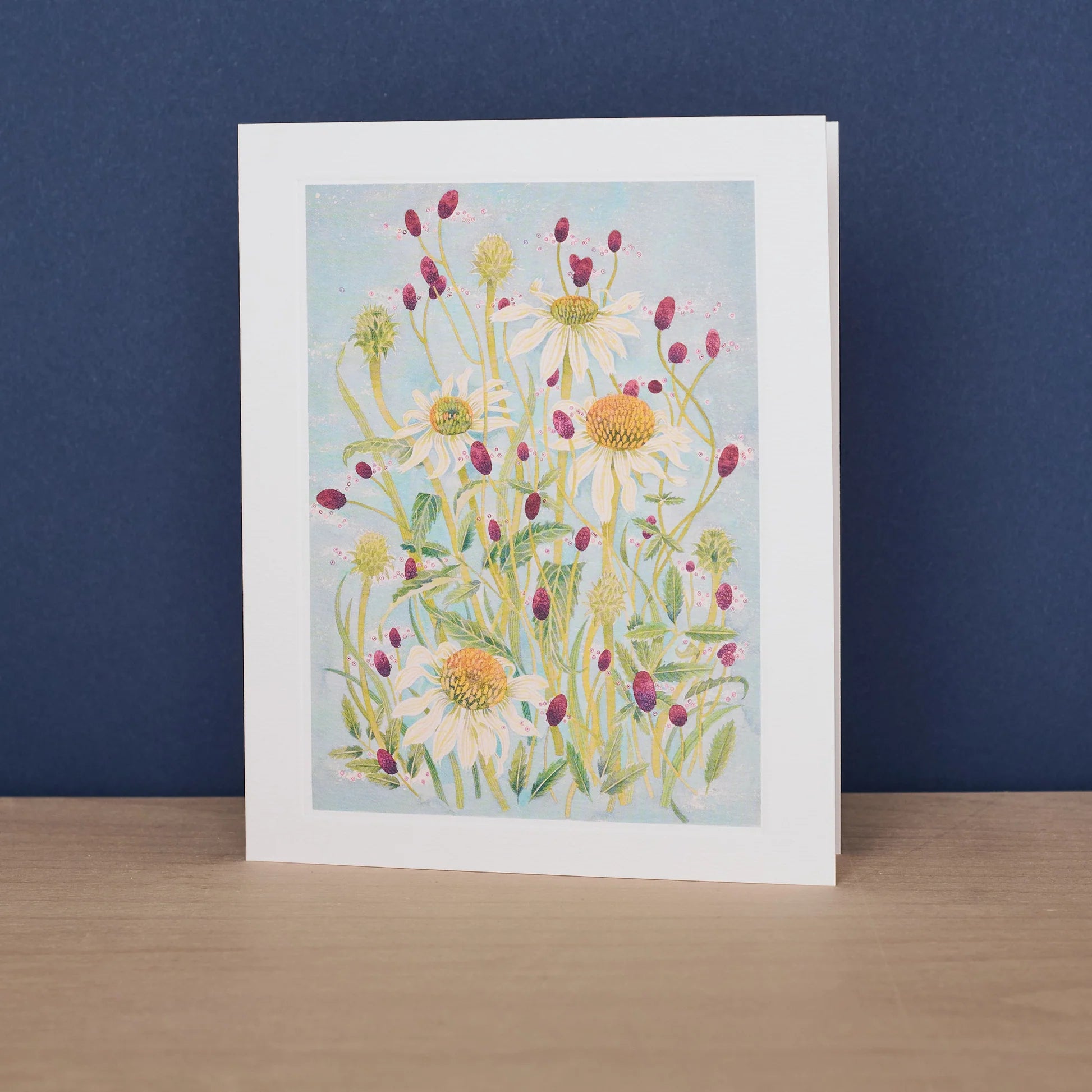 Echinacea & Sanguisorba Blank Card