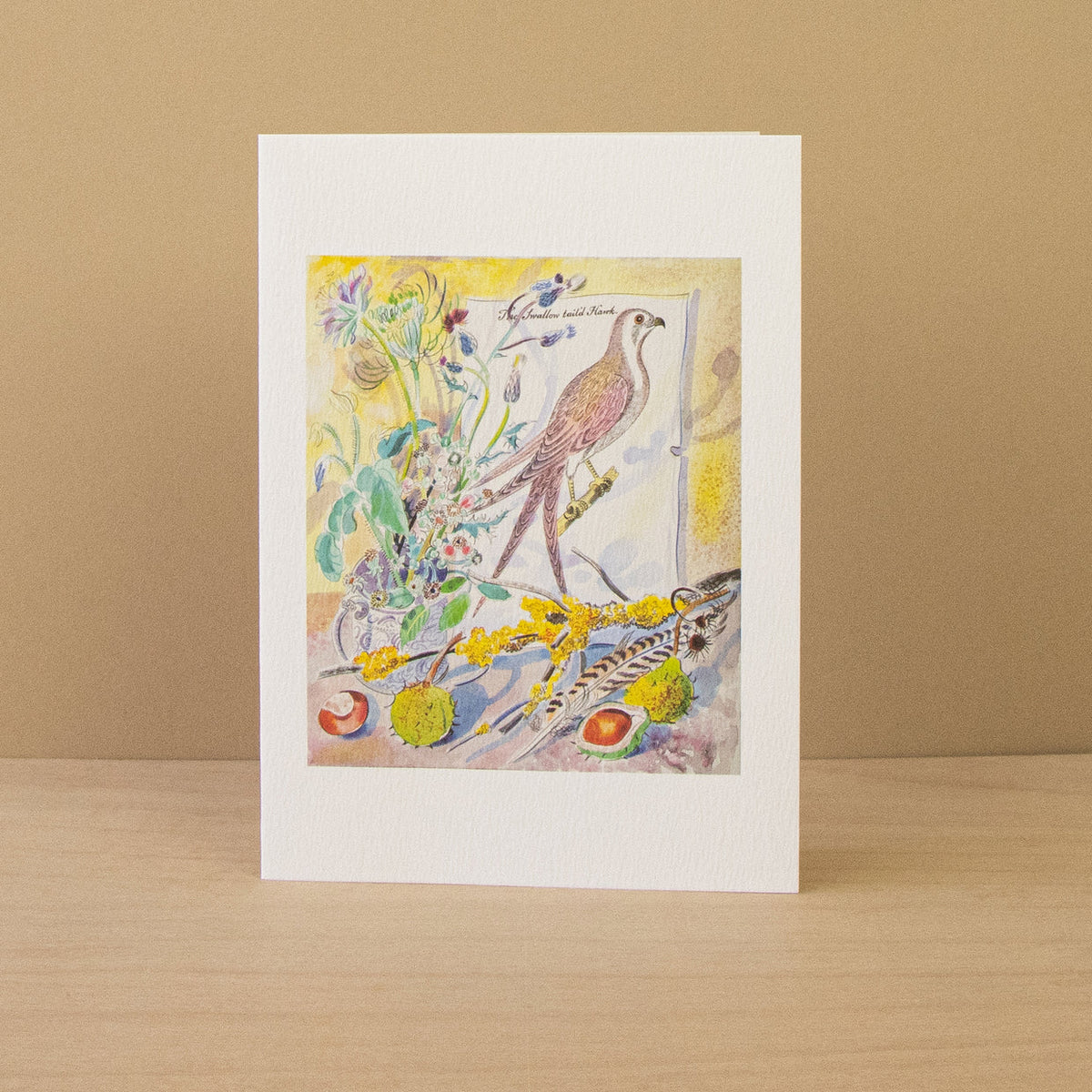 Pack Of 10 The Painted Finch & The Swallow Tail'd Hawk Notecards & Envelopes