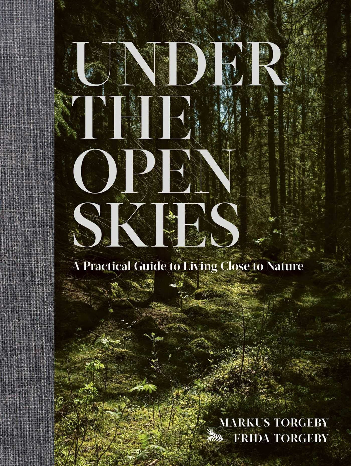 Under The Open Skies