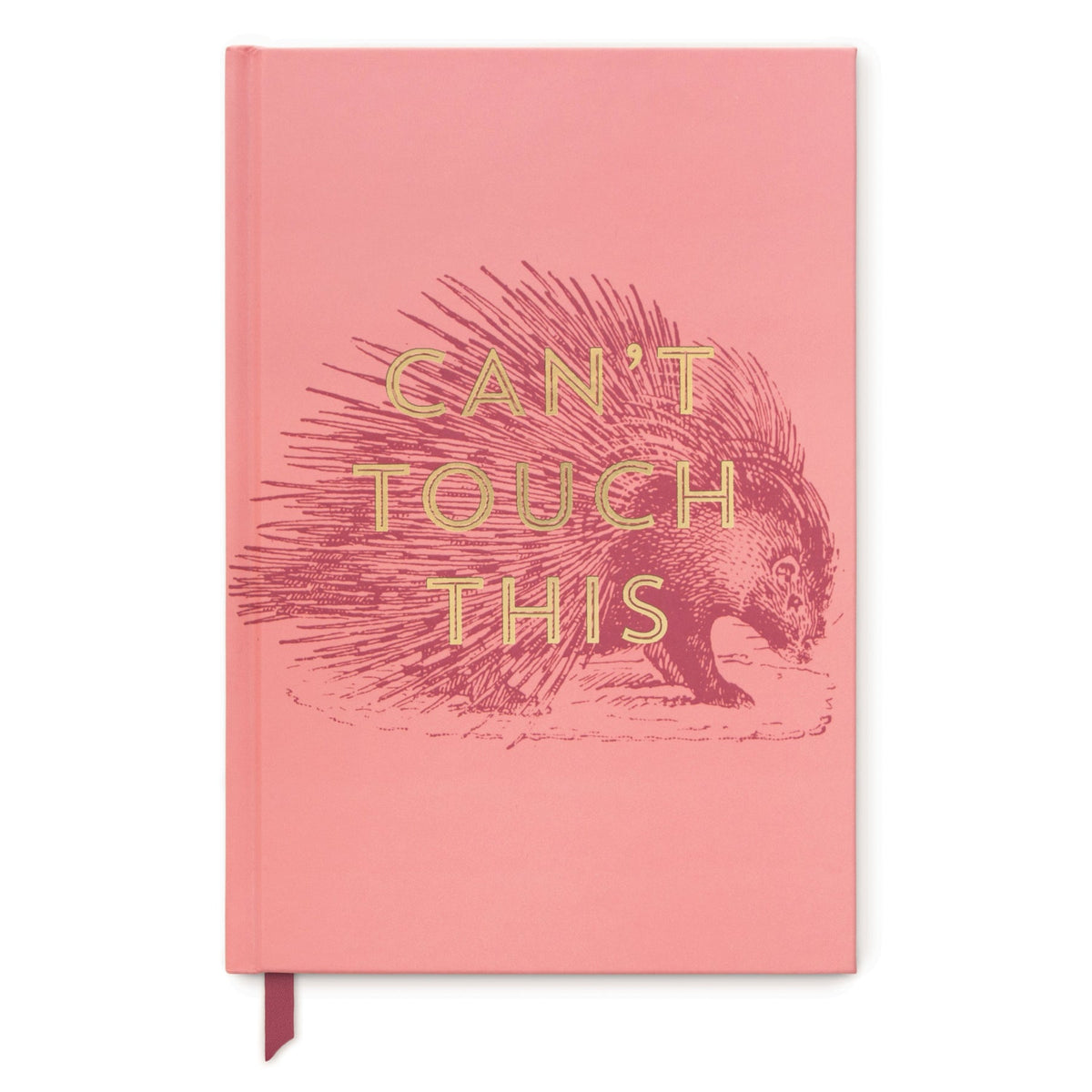 Can't Touch This Porcupine Notebook