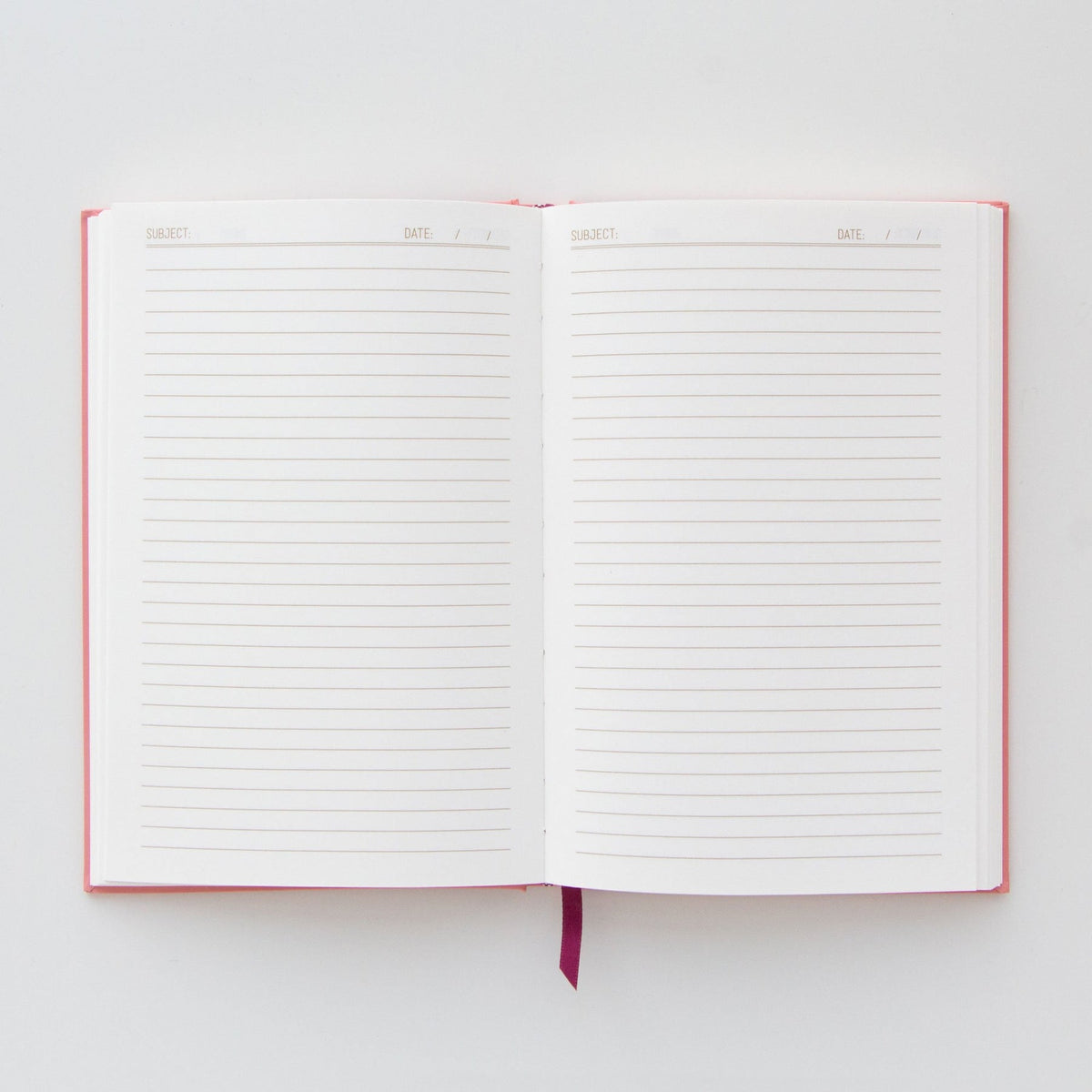 Can't Touch This Porcupine Notebook