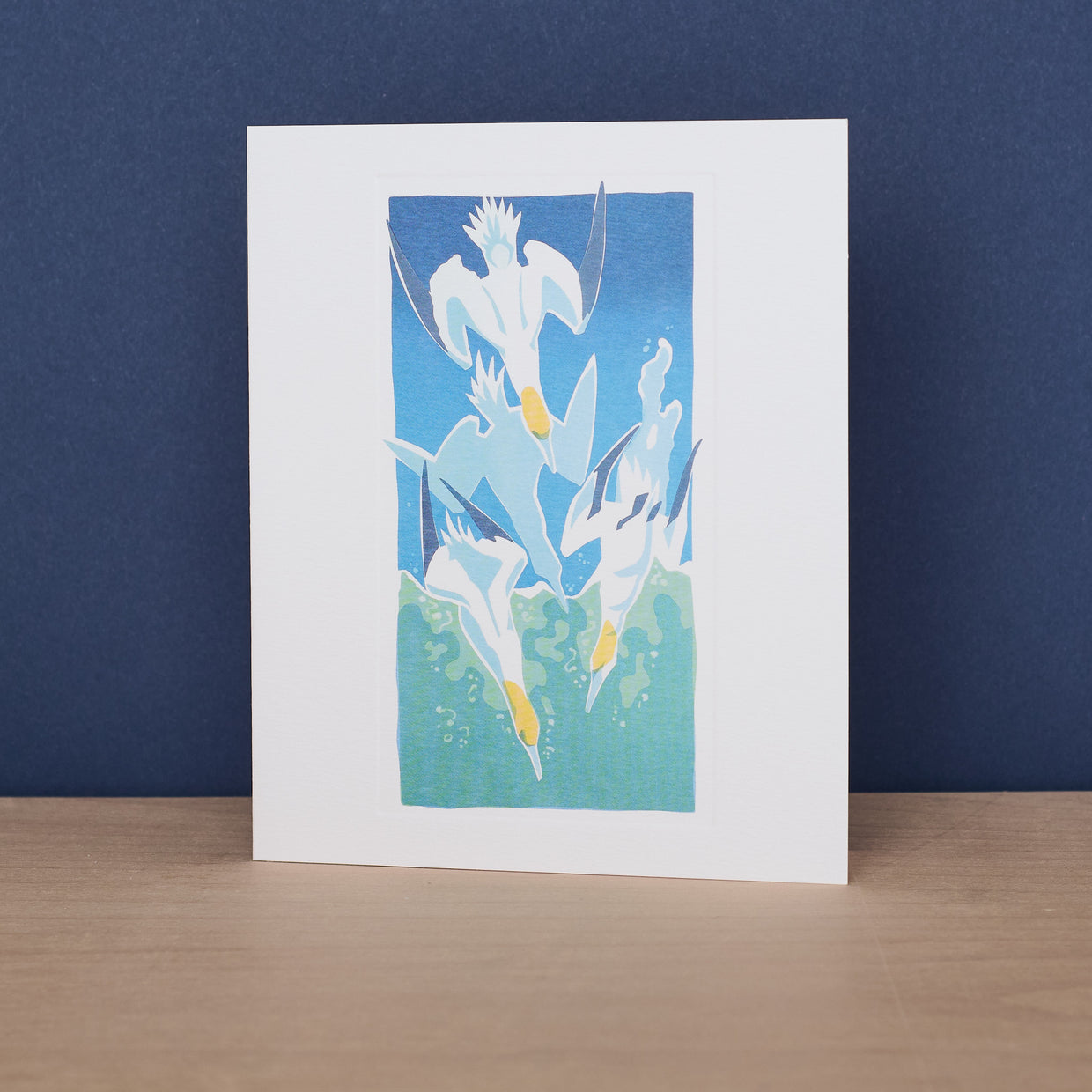 Gannets Diving Blank Card
