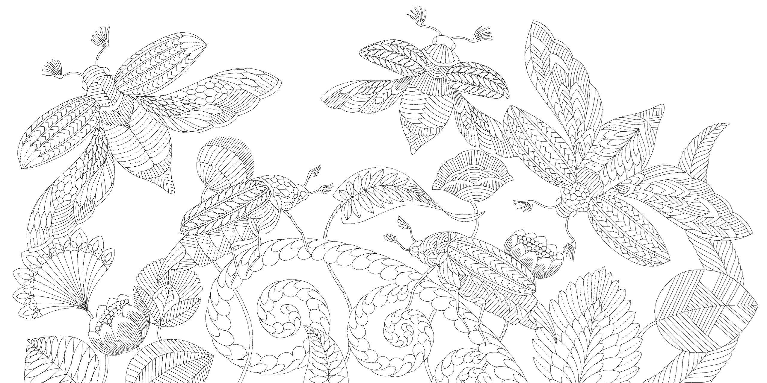 Curiouser Creatures Pocket Colouring Book