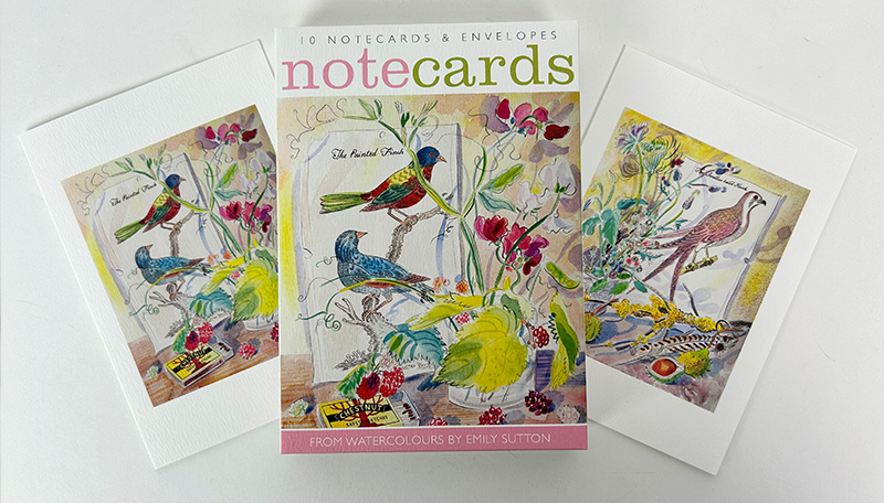 Pack Of 10 The Painted Finch & The Swallow Tail'd Hawk Notecards & Envelopes