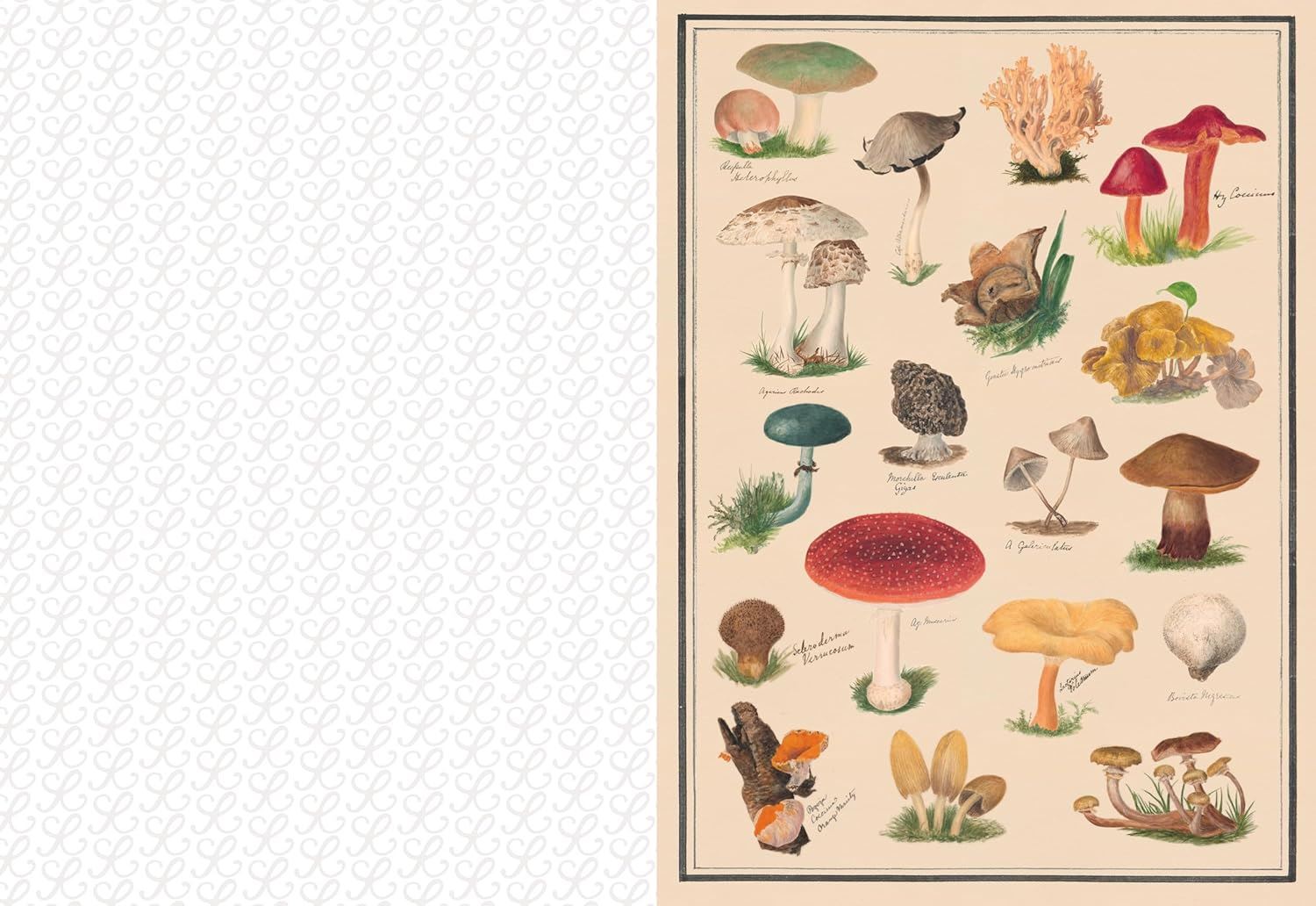 The Collage Compendium