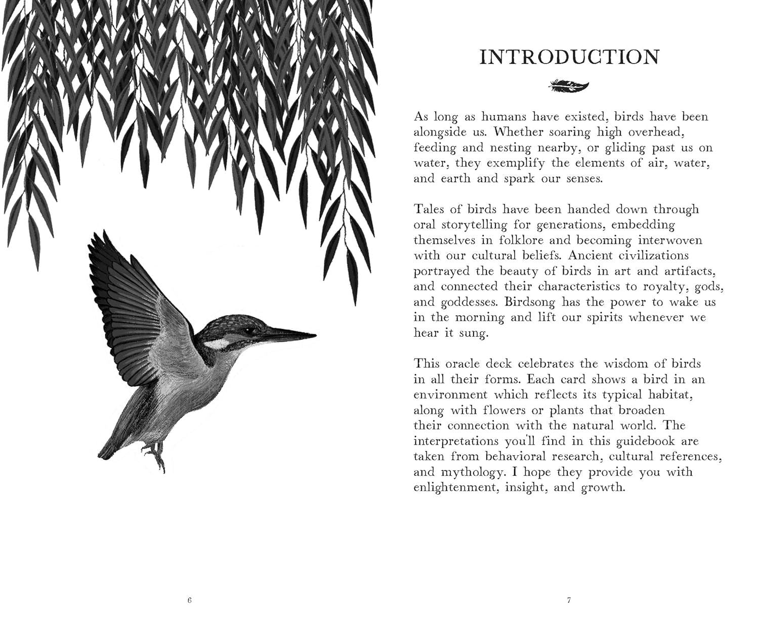 Wisdom Of Birds Oracle Dec & Guidebook