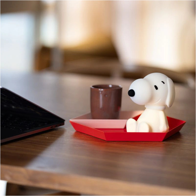 Snoopy Bundle Of Light