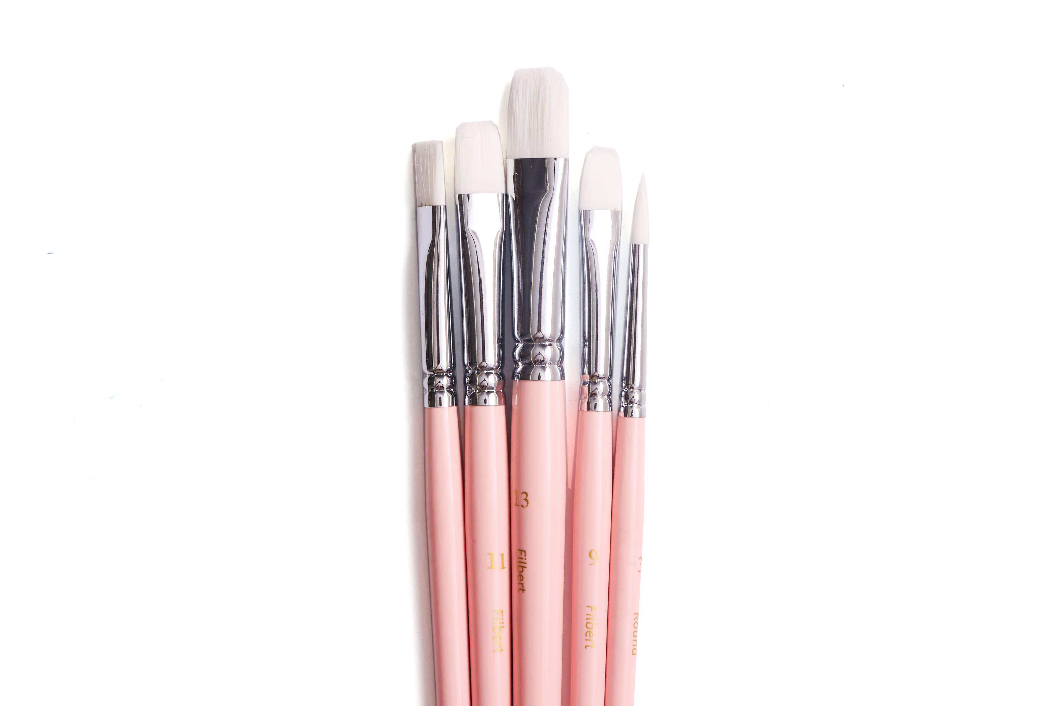 Set of 5 Paint Brushes