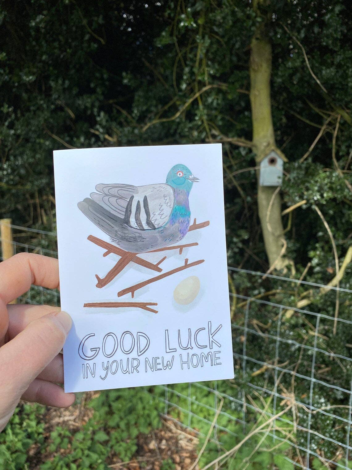 Pigeon New Home Card