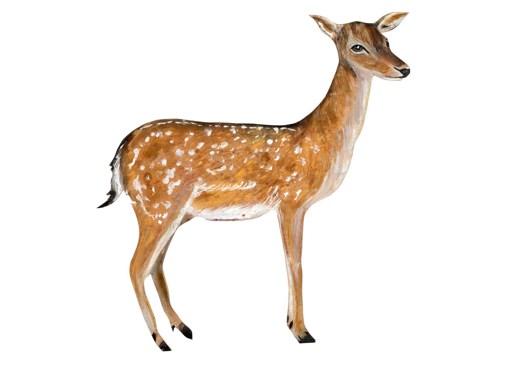 Fawn Birch Plywood Decoration