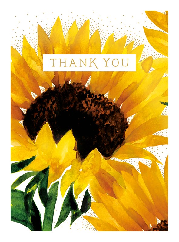 Set of 6 Thank You Sunflower Card Pack