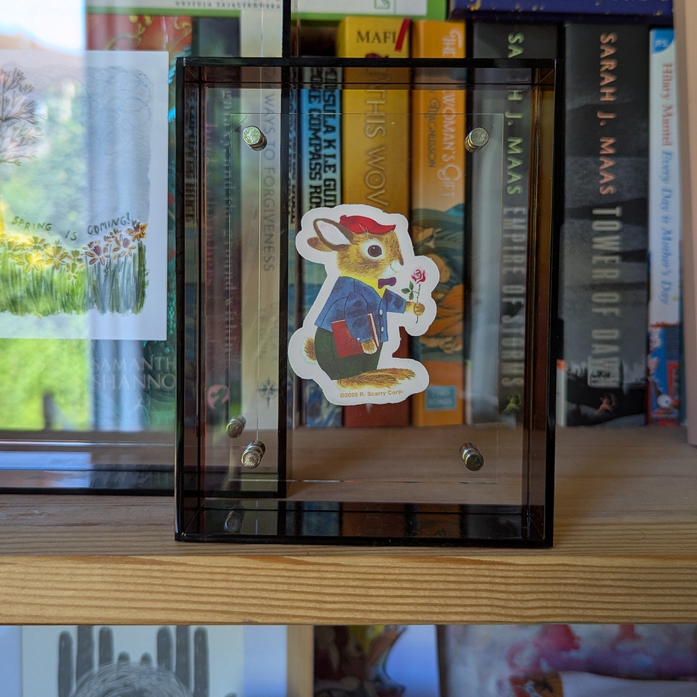 Extra Small Amber Acrylic Frame