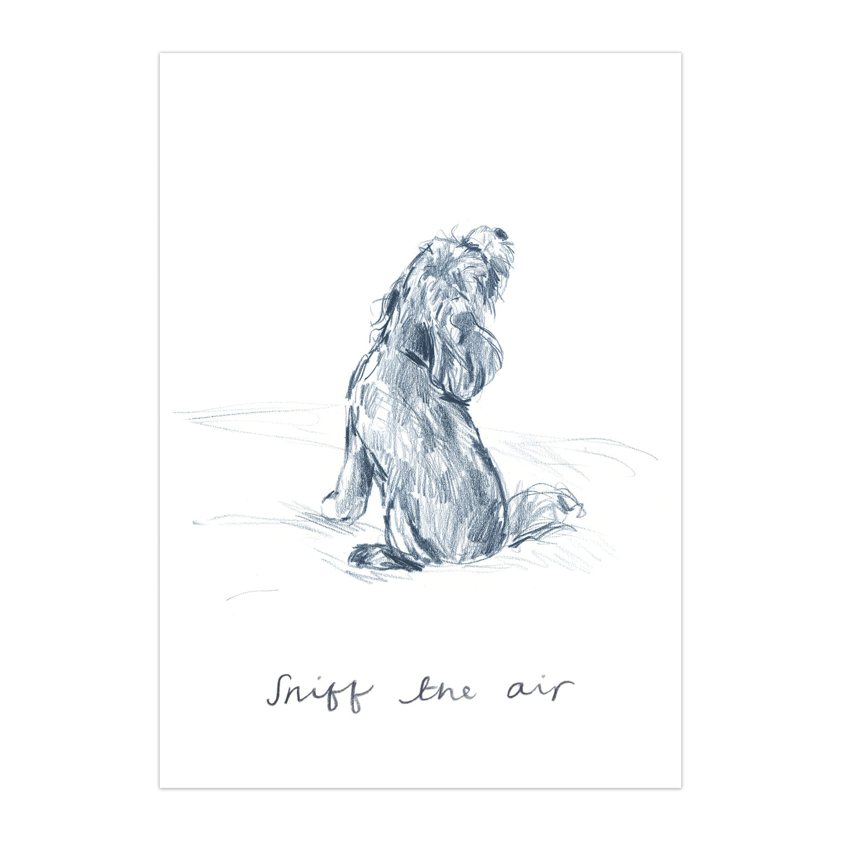 Sniff The Air Postcard