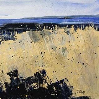 View From Arthurs Seat Art Print