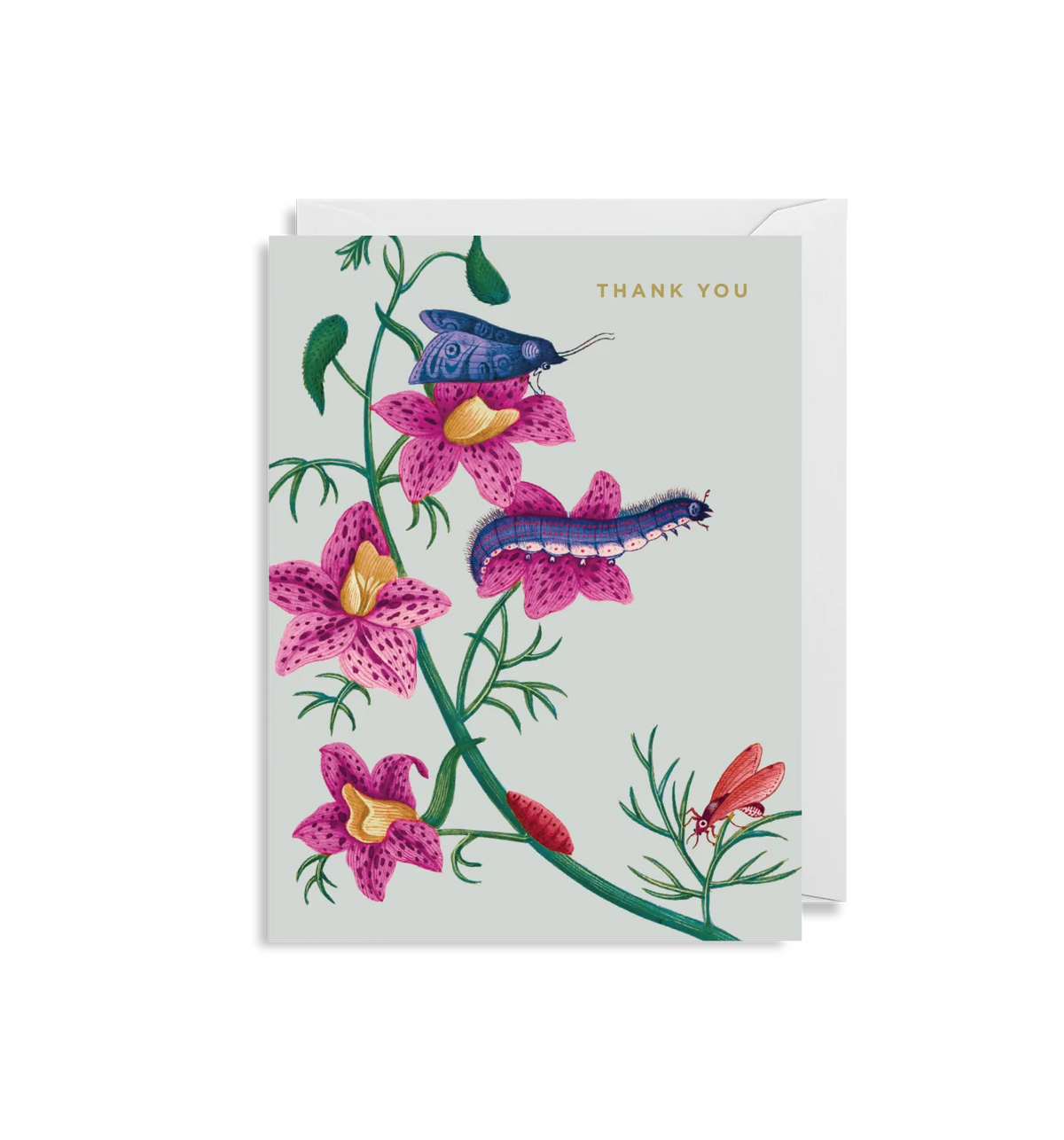 Kew's Thank You Card