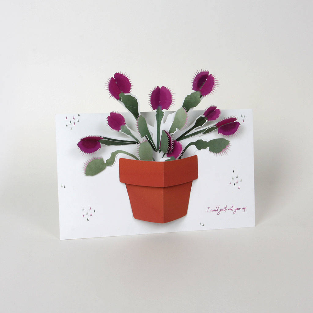 You’re So Sweet Pop Up Card