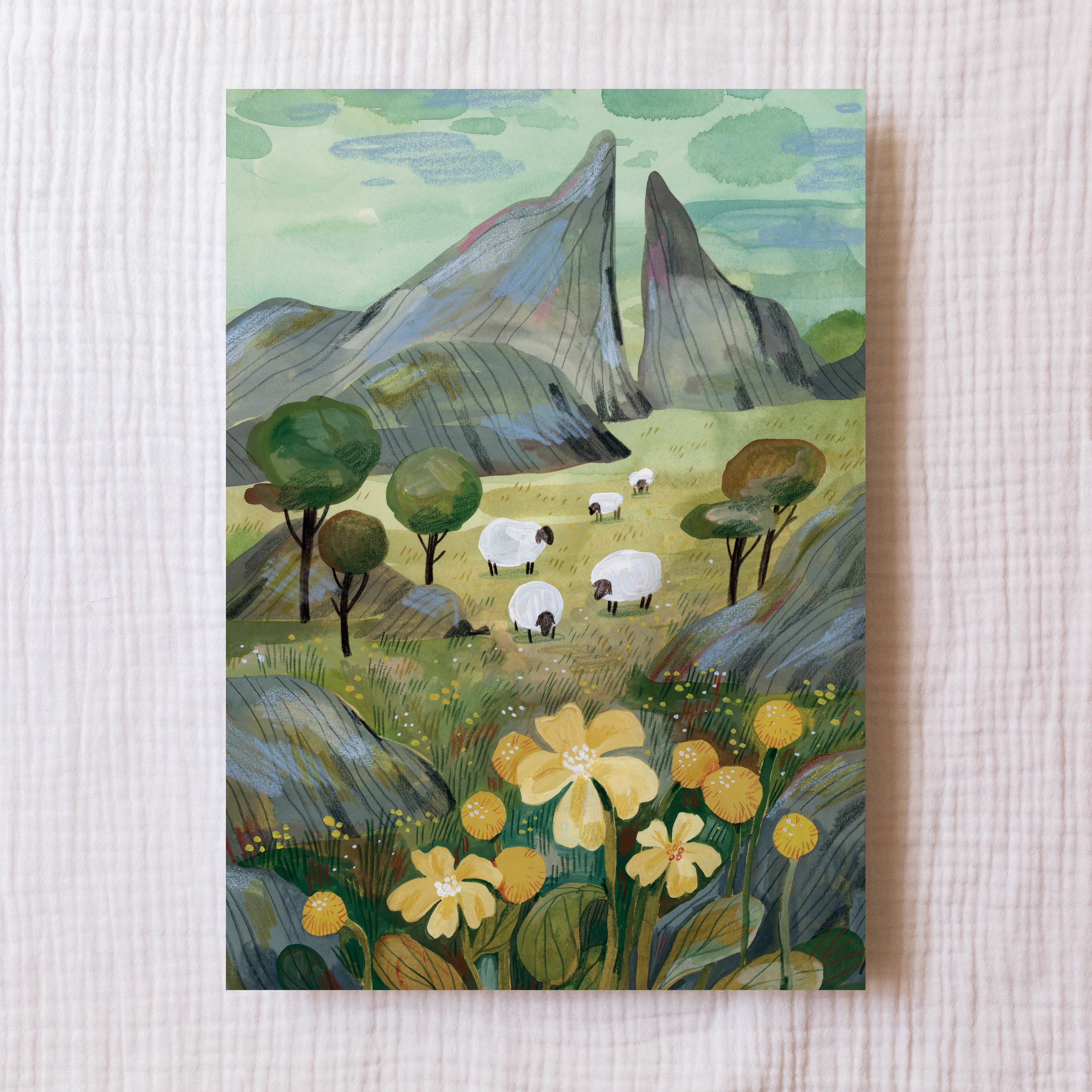 Sheep Art Print