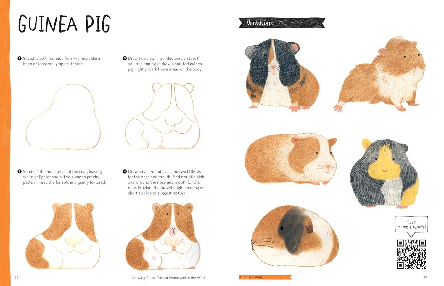 Drawing Class: Cats At Home & In the Wild