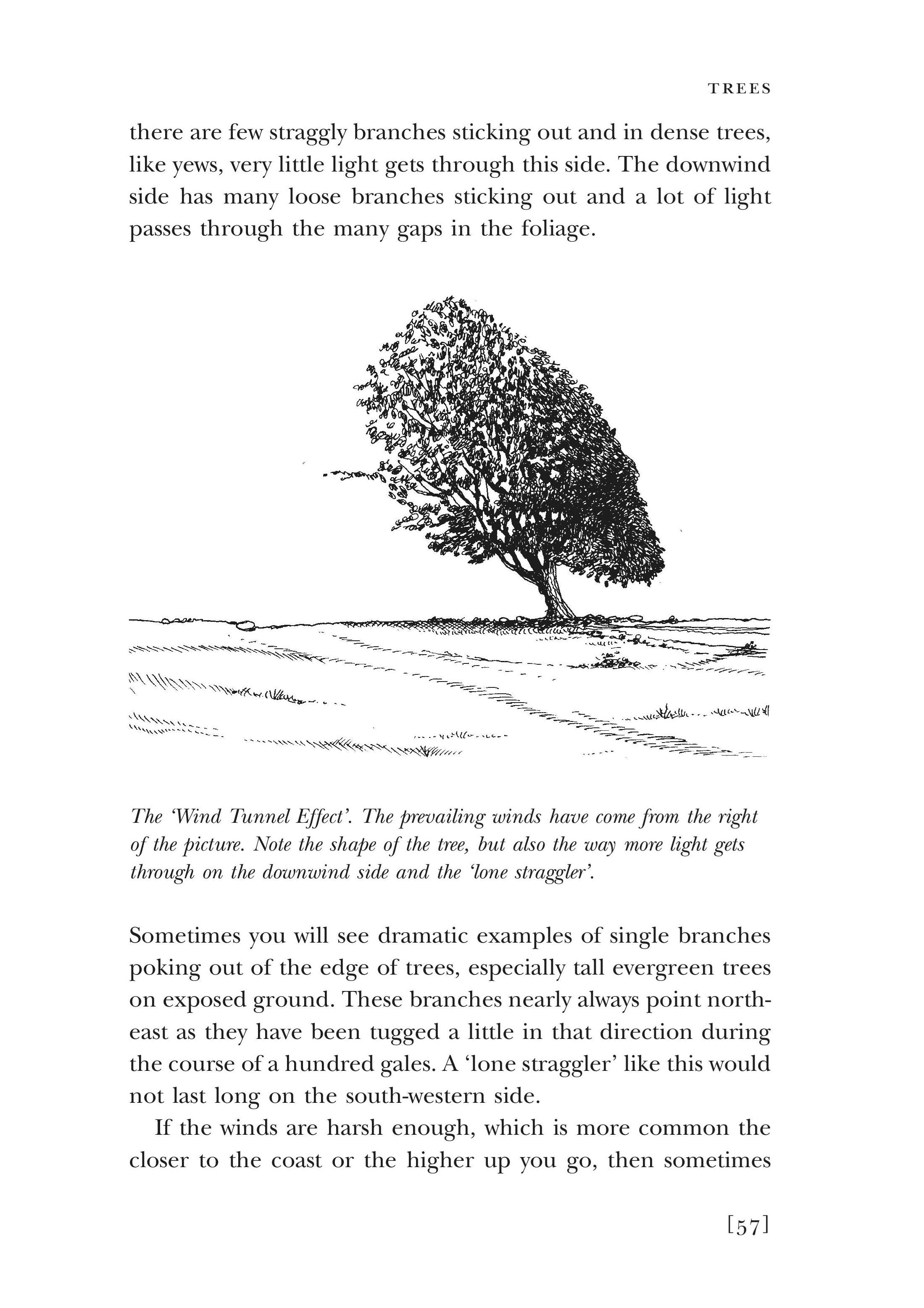 Walkers Guide to Outdoor Clues & Signs