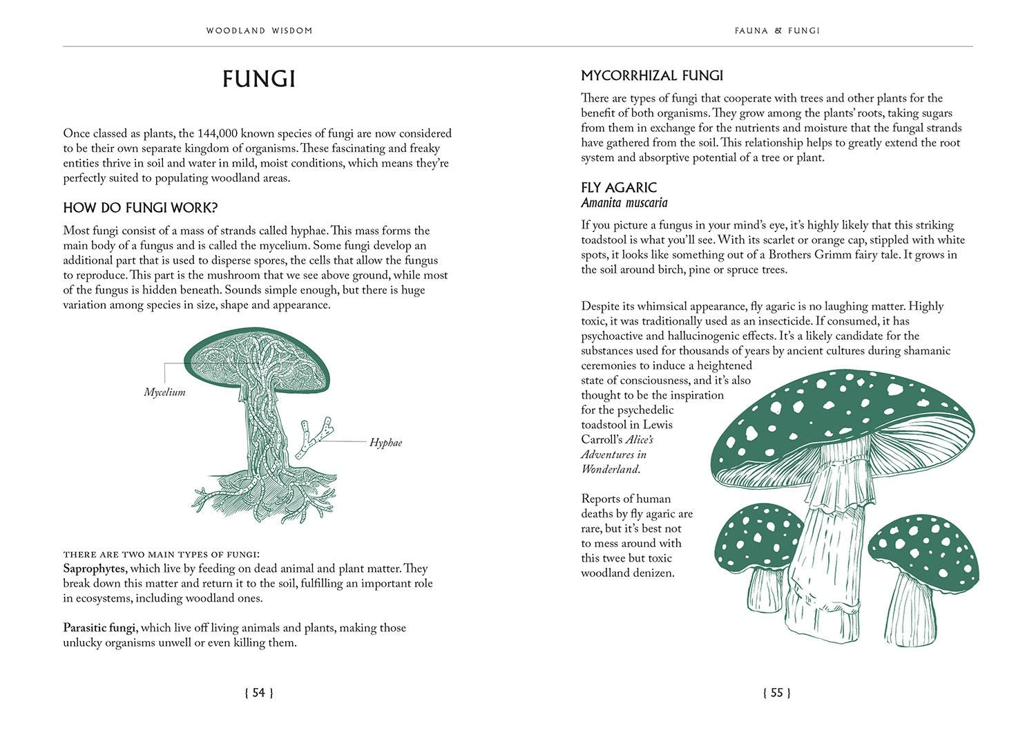 Woodland Wisdom: Facts Fiction Folklore