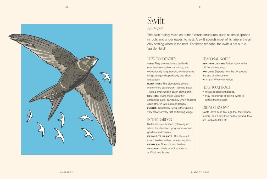 Garden Birds: A Pocket Guide (RHS)
