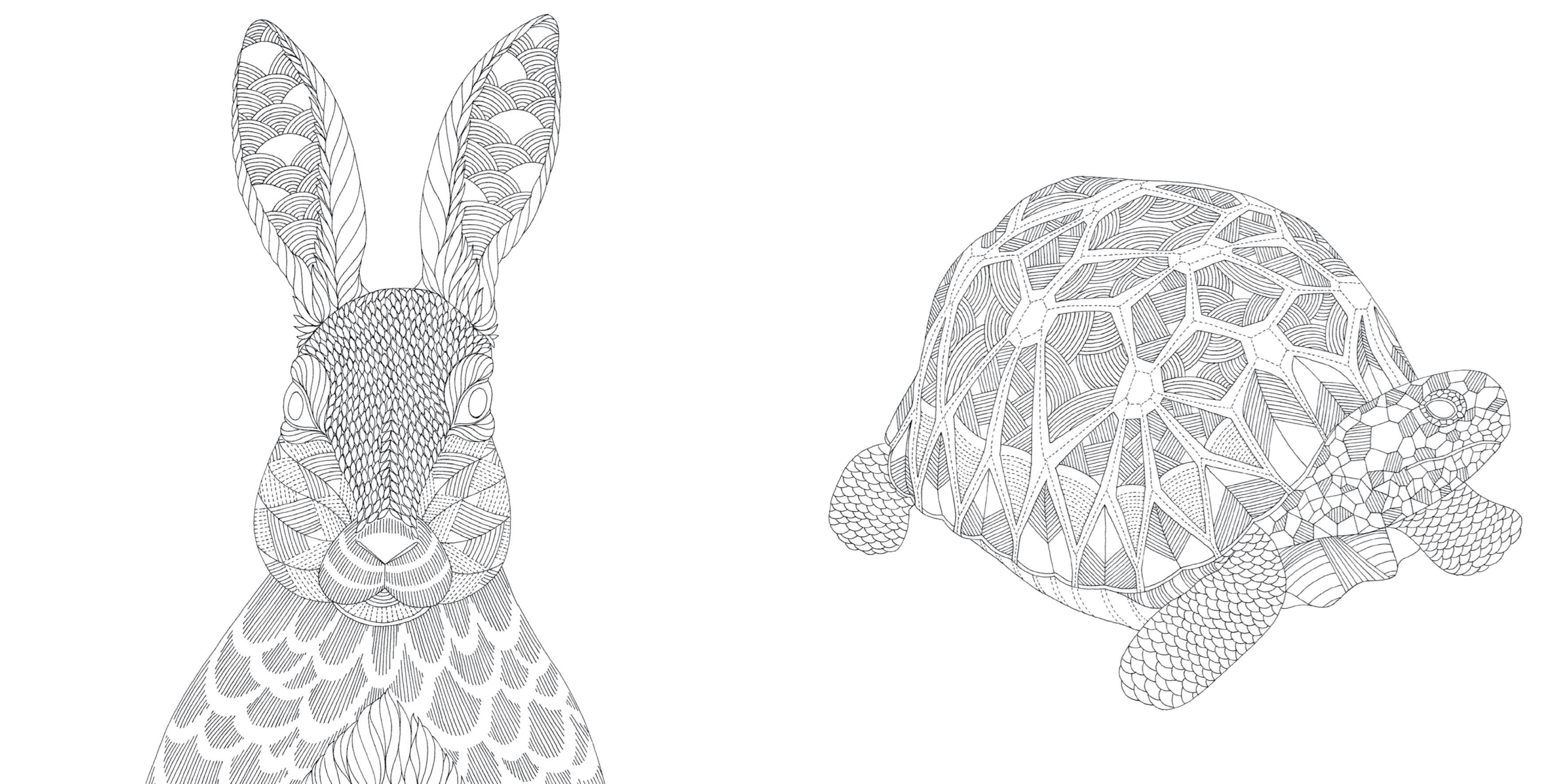 Animal Kingdom Pocket Colouring Book