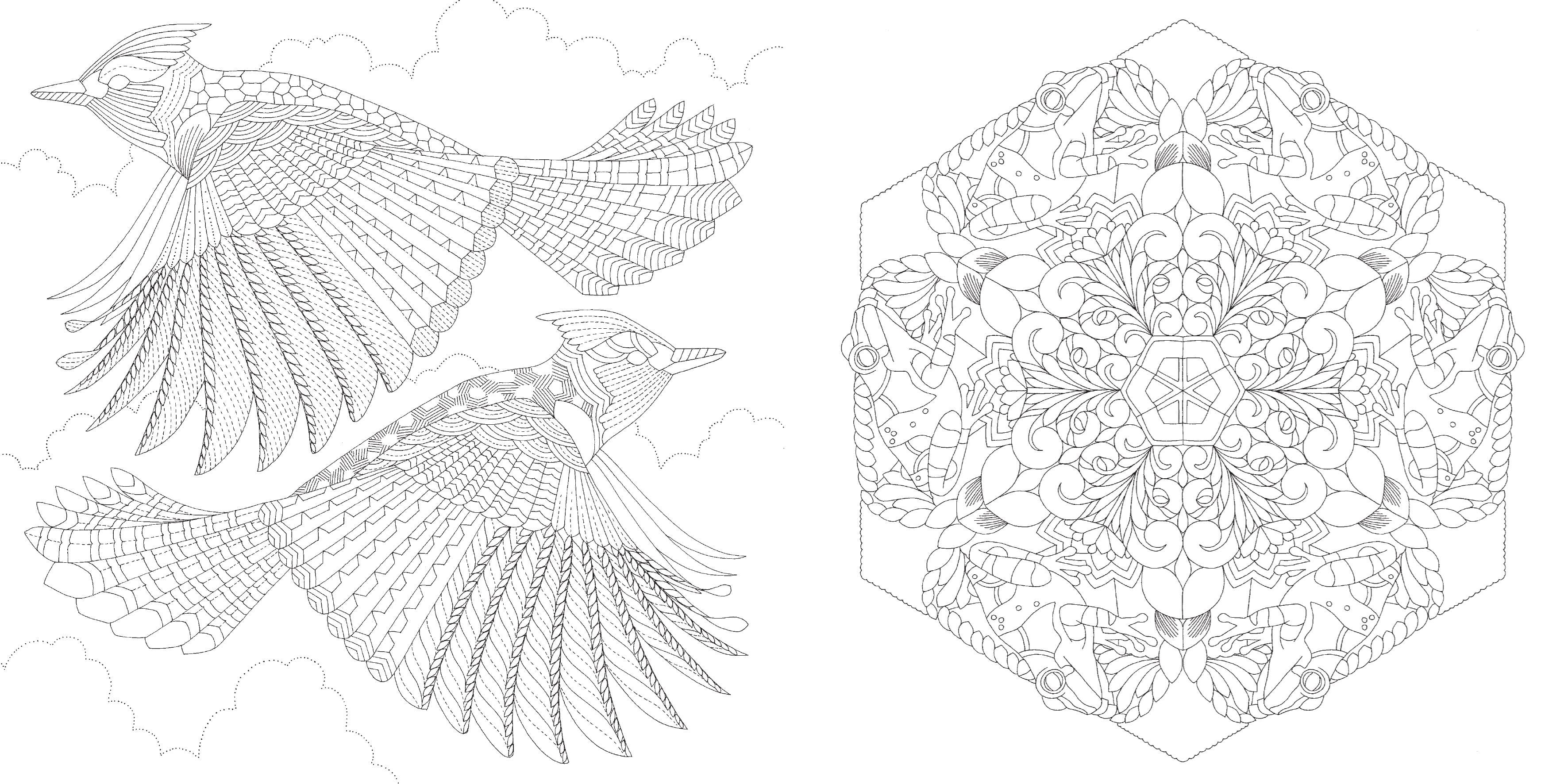 Beautiful Birds Pocket Colouring Book