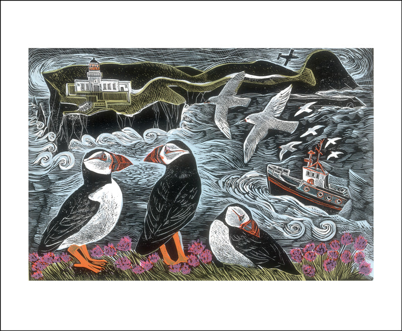 Fair Isle Puffins Blank Card