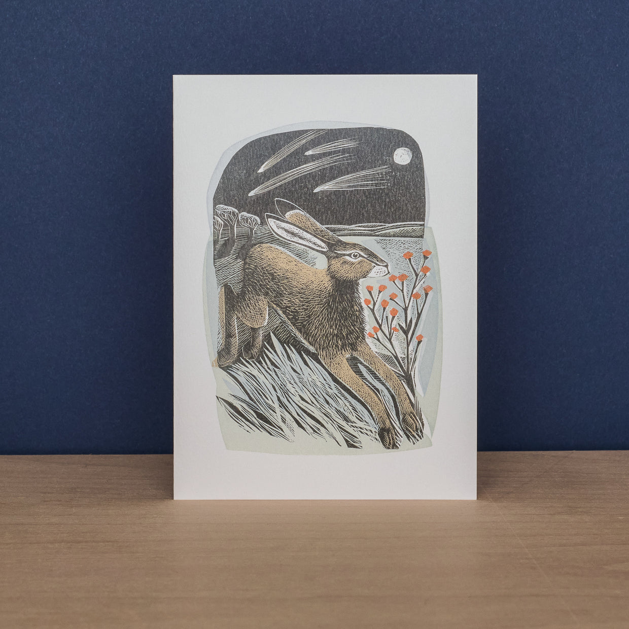 Pack Of 10 Notecards & Envelopes - Shooting Stars & Look Out!