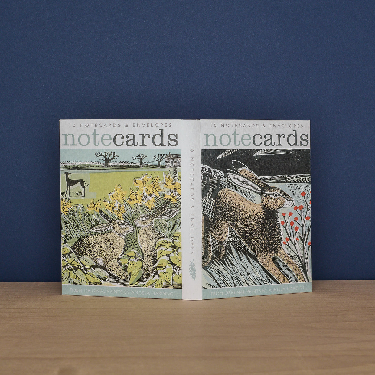 Pack Of 10 Notecards & Envelopes - Shooting Stars & Look Out!