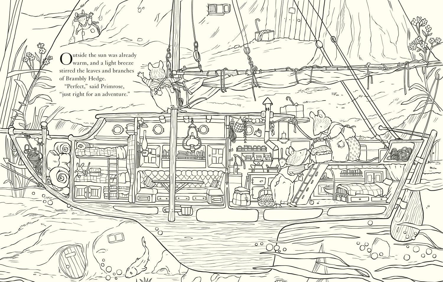 Brambly Hedge: Nature Colouring Book