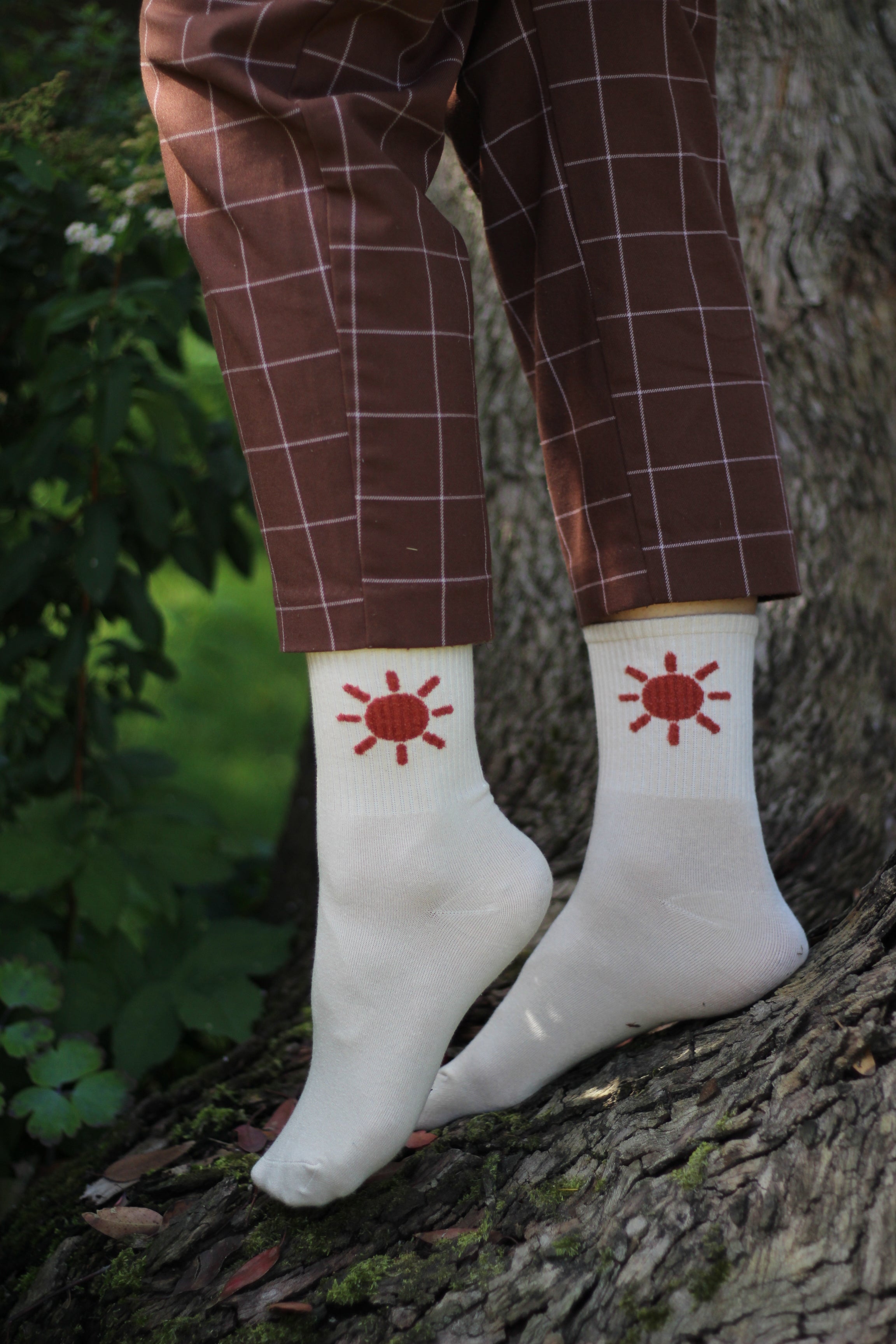 Cream socks with orange sun design worn by a person in brown trousers standing on a tree.