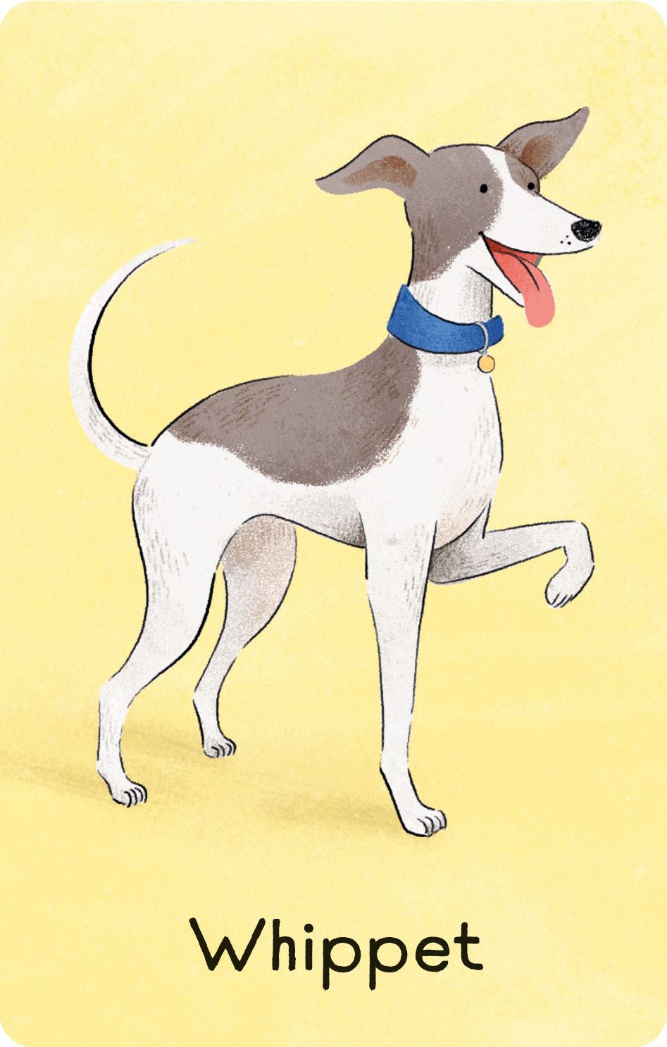 Dogs Snap