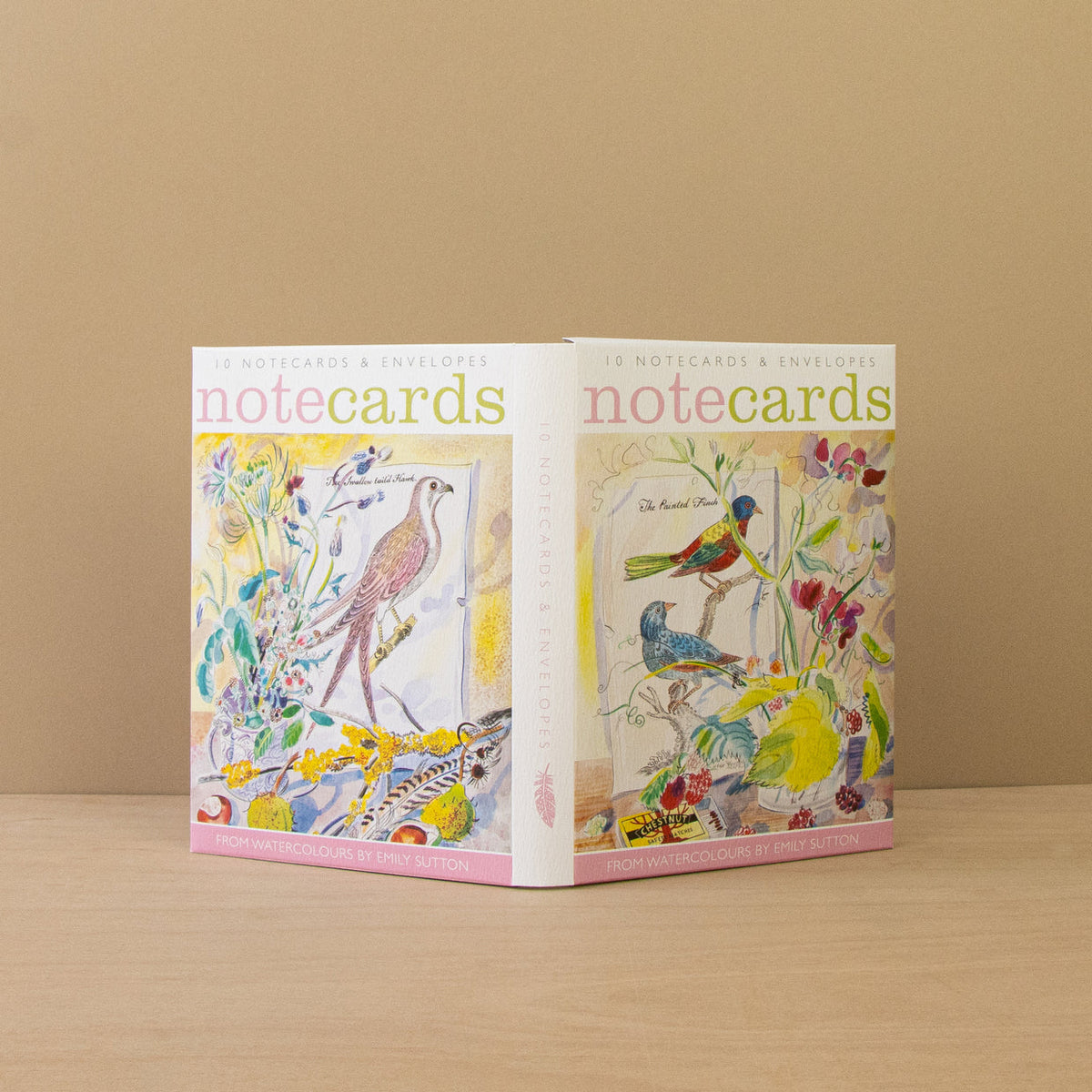 Pack Of 10 The Painted Finch & The Swallow Tail'd Hawk Notecards & Envelopes