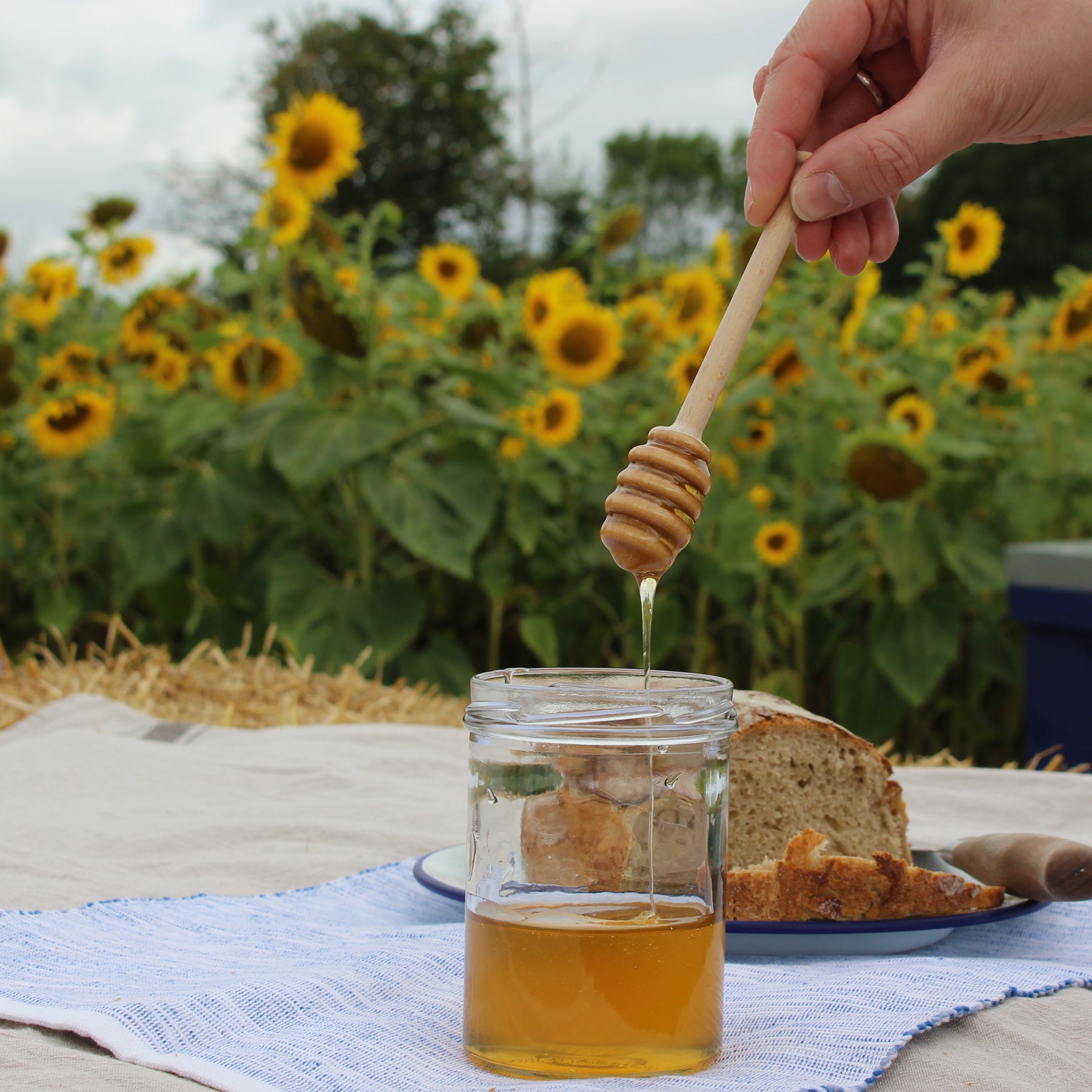Honey Dipper