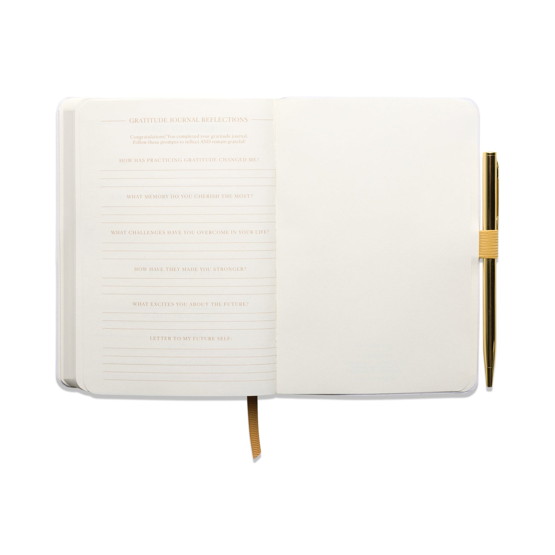 Picnic Gratitude Journal