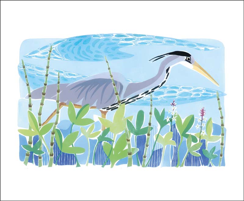 Grey Heron Blank Card