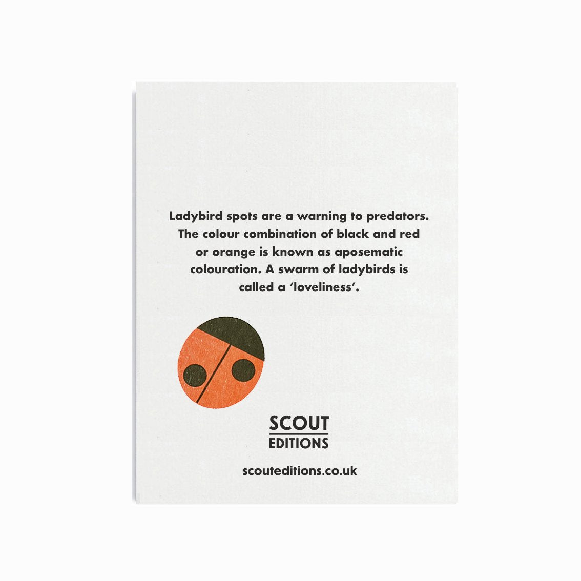 Ladybirds Mini Card