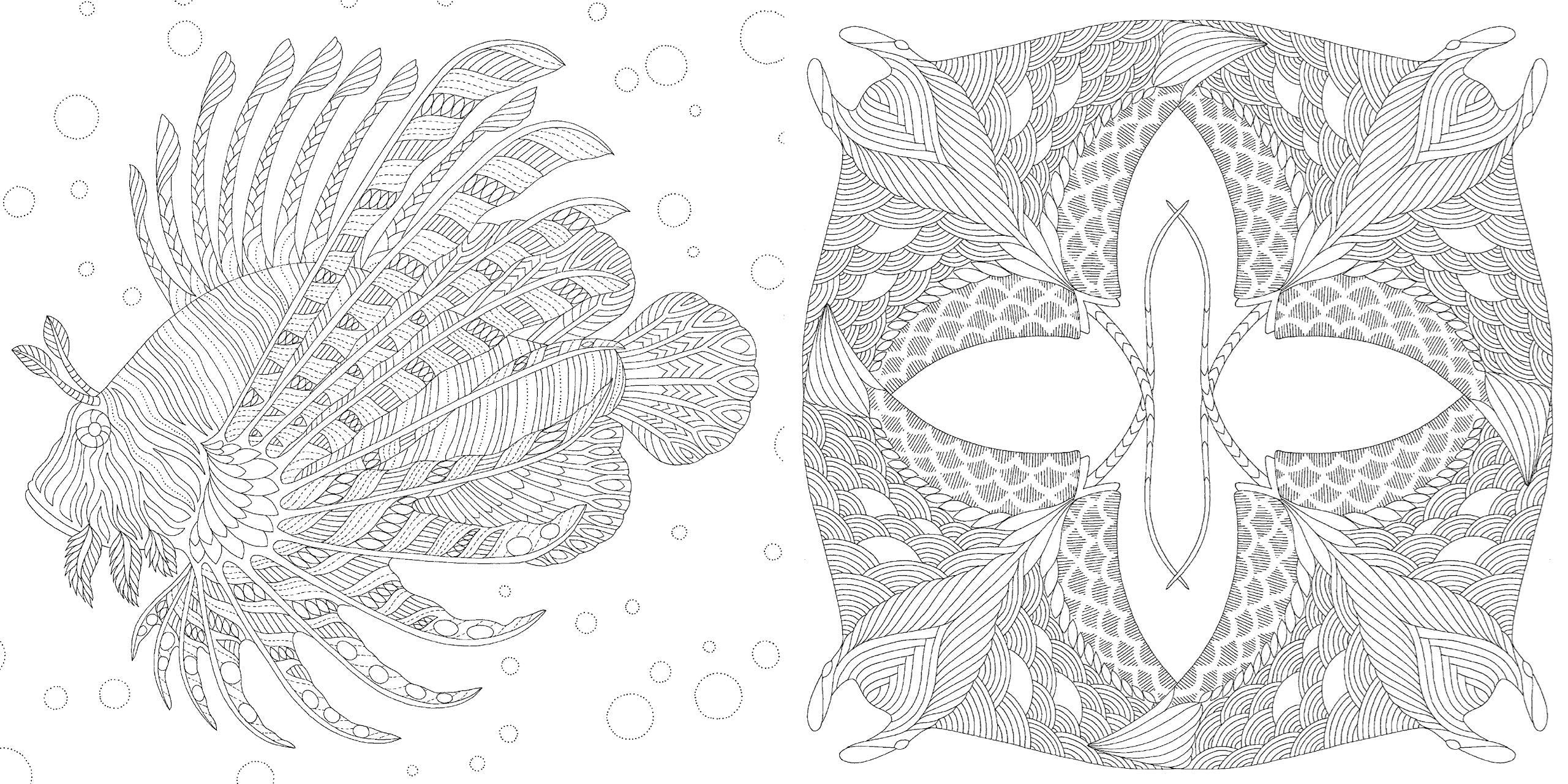 Curiouser Creatures Pocket Colouring Book