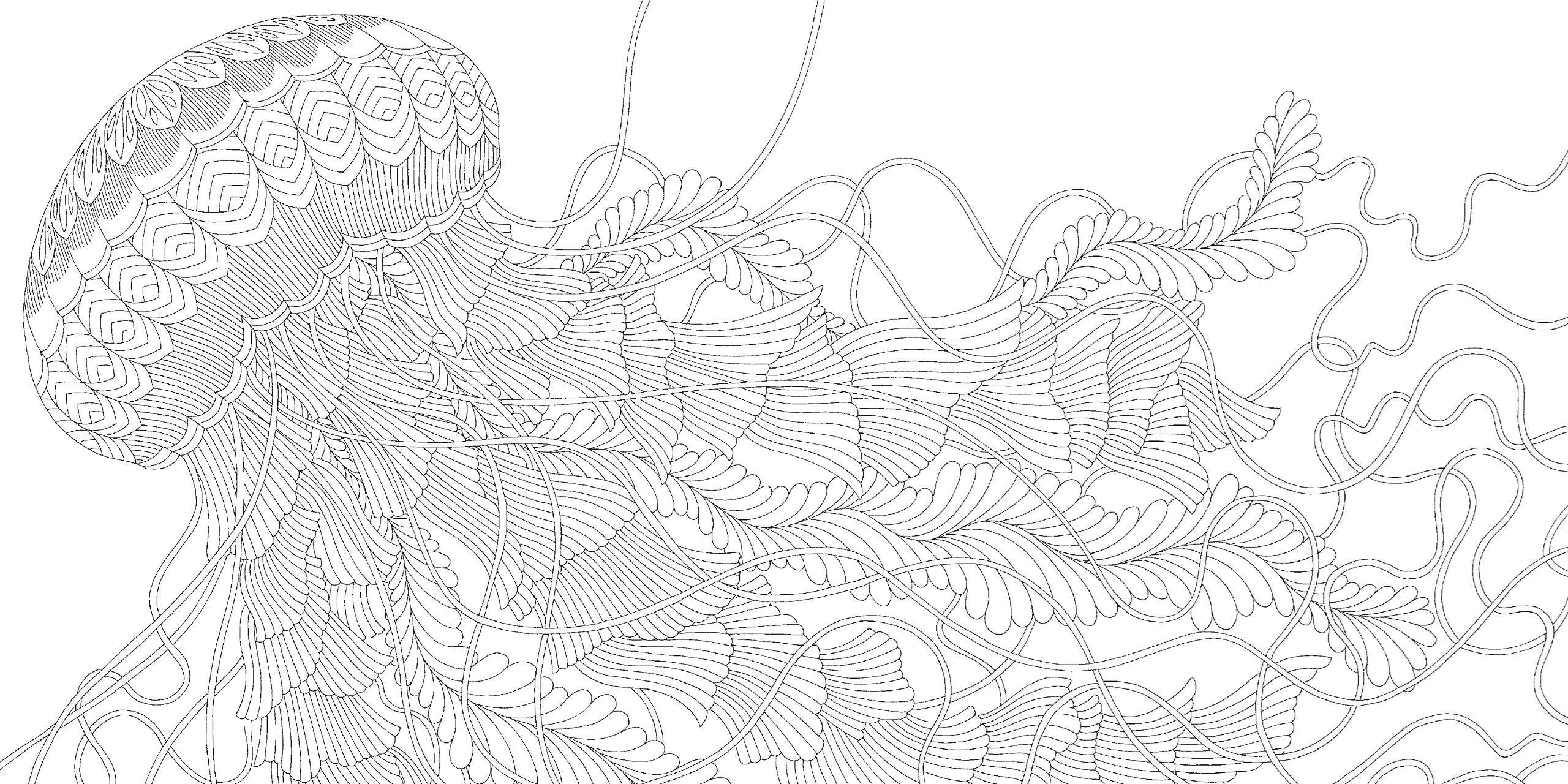 Curiouser Creatures Pocket Colouring Book