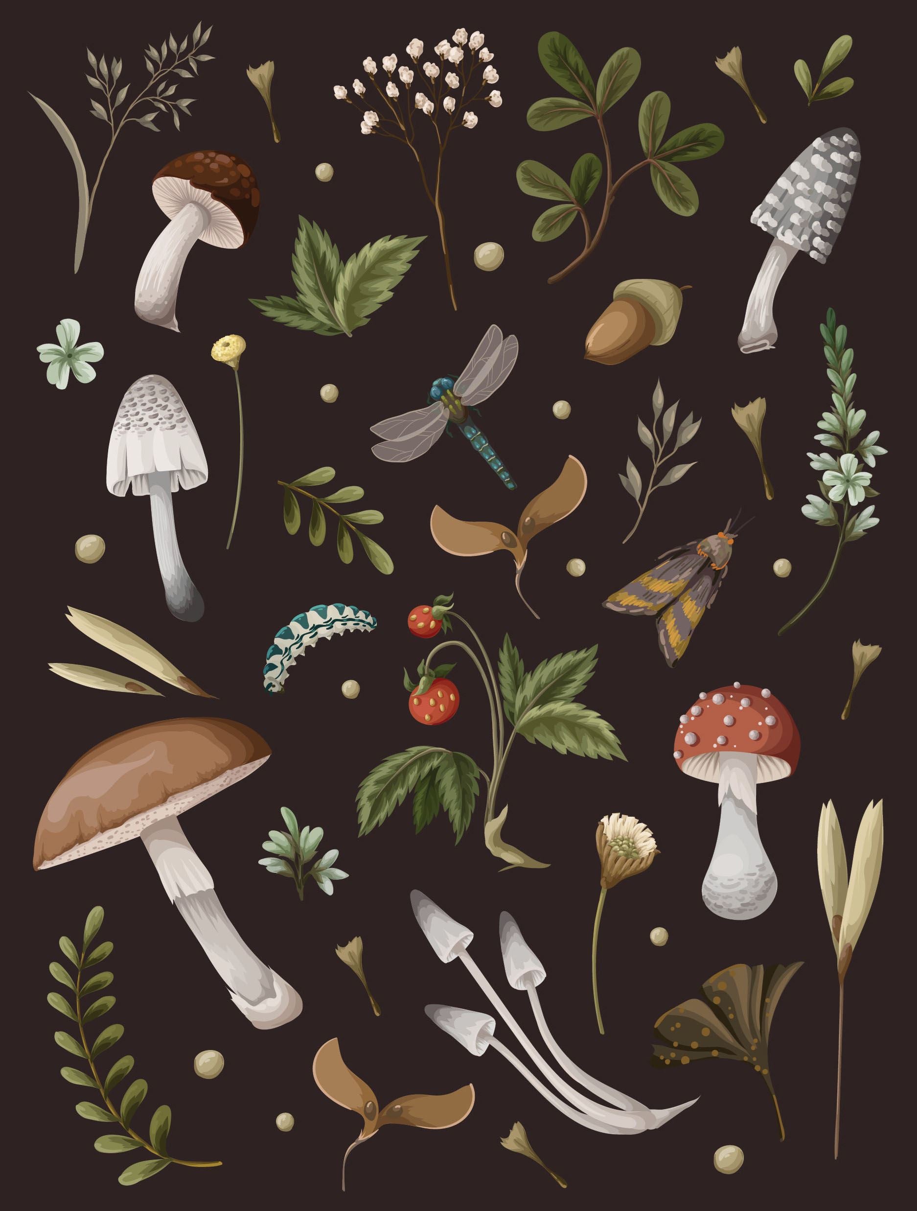 Mushroom Notebook